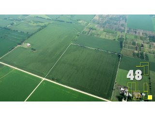 Property photo 178 - Land Auction - 3,379 Acres in 48 Tracts, 2,900 Acres Tillable, Large Contiguous Tracts - Investment Potential